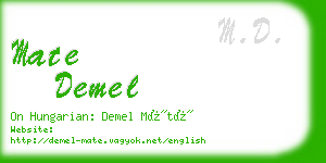 mate demel business card